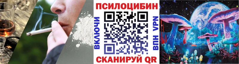 omg ссылка  купить  цена  Стародуб  Галлюциногенные грибы MAGIC MUSHROOMS 
